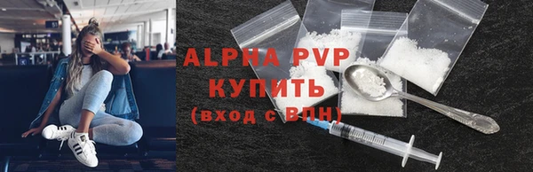 индика Кодинск