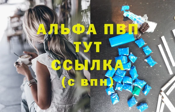 индика Кодинск