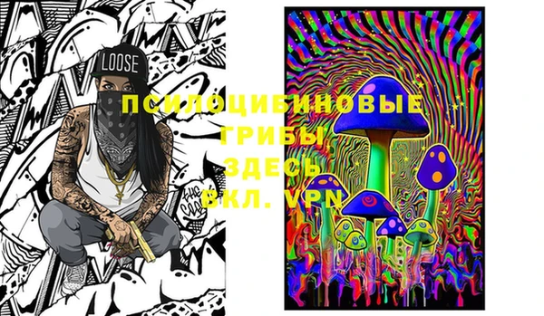 mix Козловка