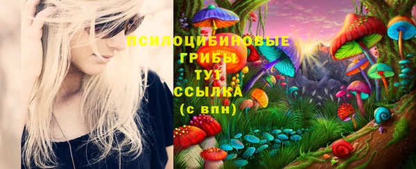 mix Козловка