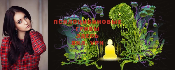 индика Кодинск
