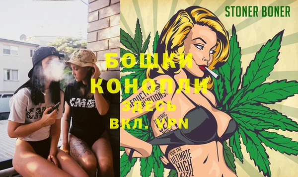 индика Кодинск